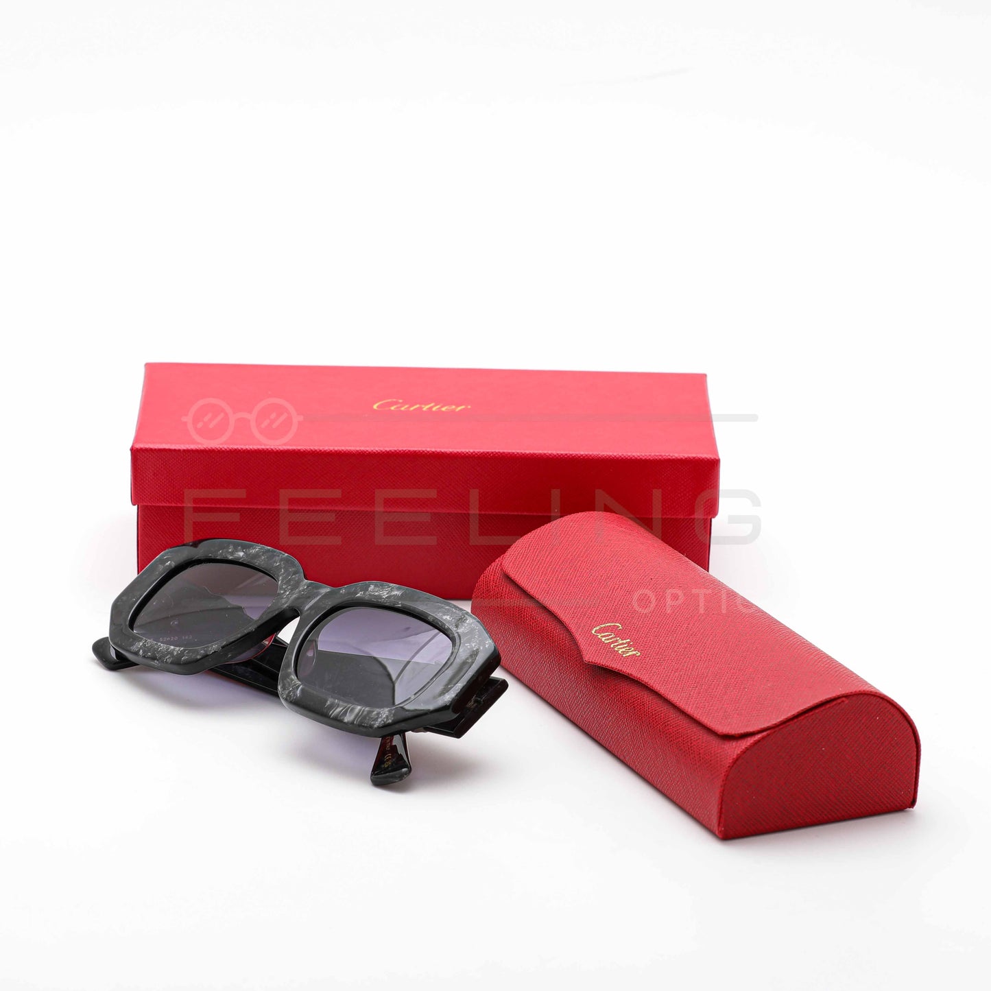 CARTIER CT0314 - Noir Dégradé
