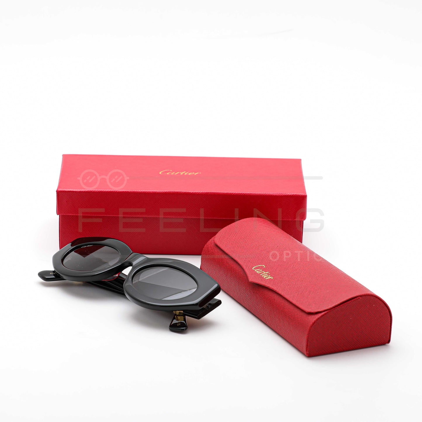 CARTIER CT0313 - Full Black