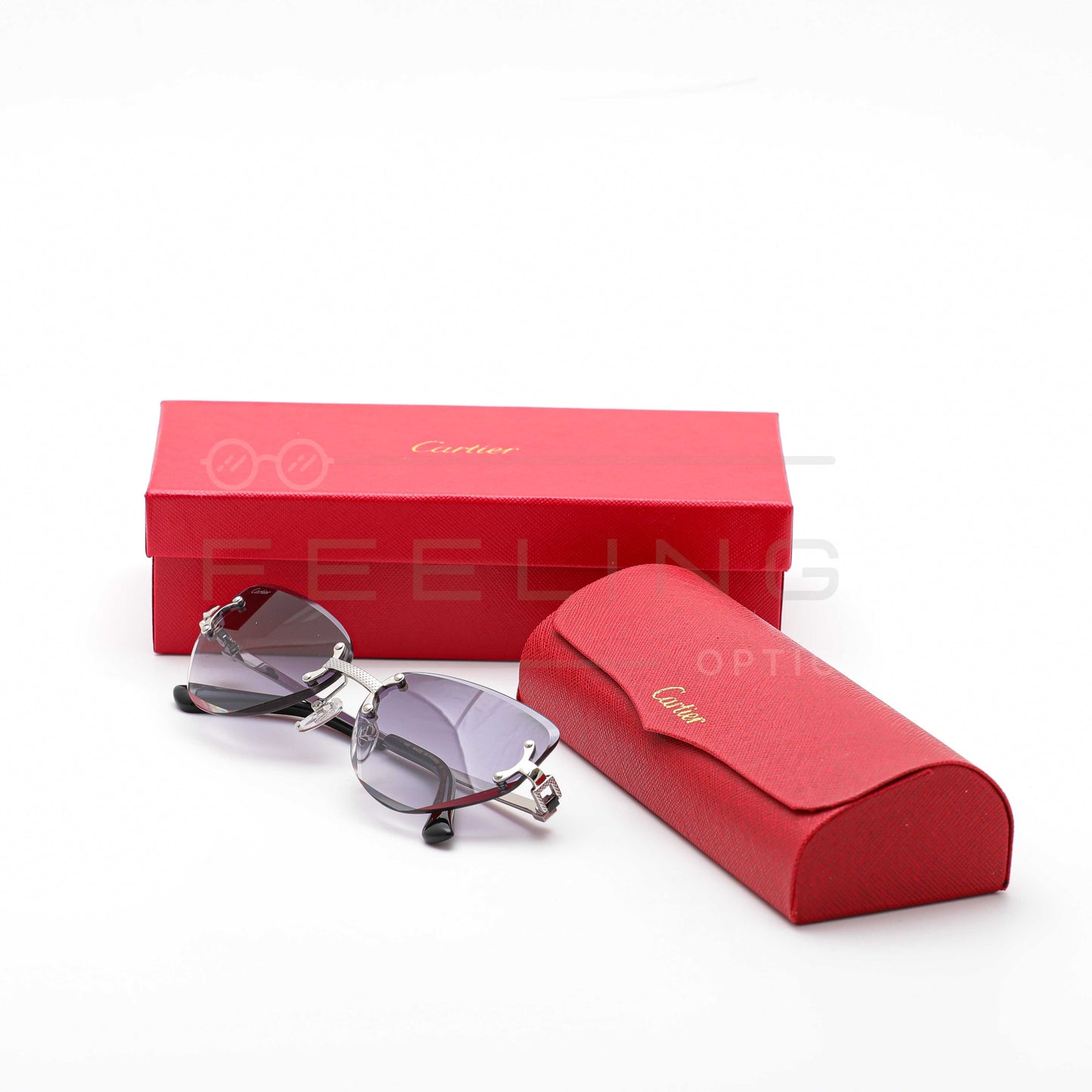 CARTIER CT0551S - Noir & Gris