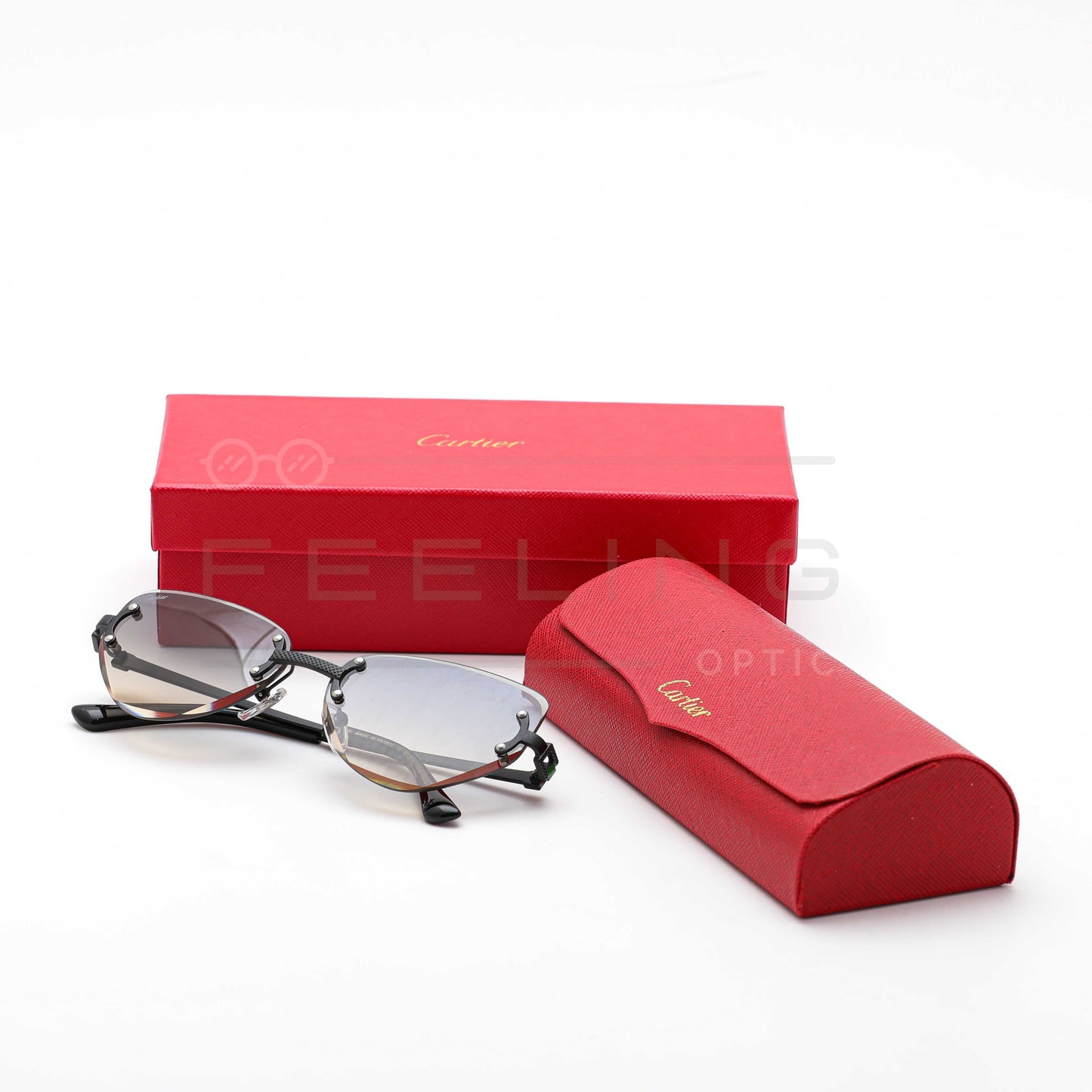 CARTIER CT0551S - Dégradé
