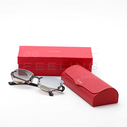 CARTIER CT0551S - Dégradé