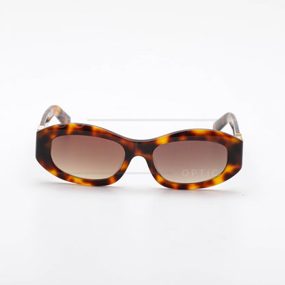MIU MIU 14ZS - Marron & Havane